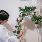Post: How to refresh your home with plants